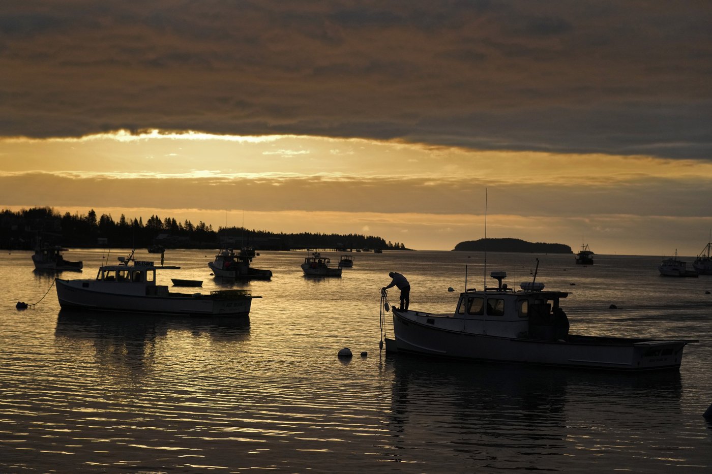 Trump budget would cut ocean data and leave boaters, anglers and forecasters scrambling for info | iNFOnews.ca