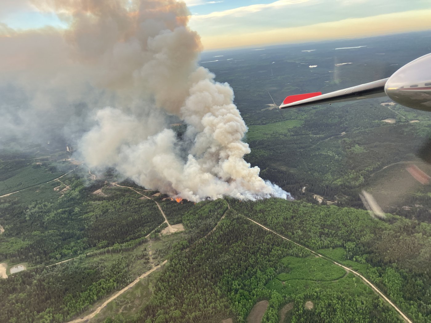 Evacuee describes 'surreal' speed of B.C. wildfire that quadrupled in size | iNFOnews.ca