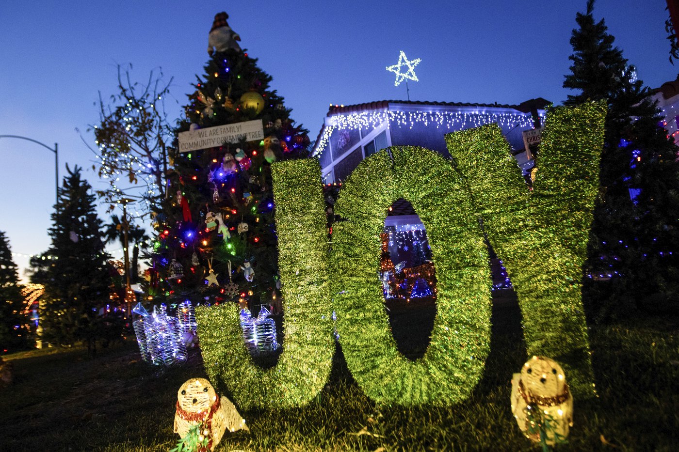 Elaborate holiday light displays are making spirits bright in a big way | iNFOnews.ca