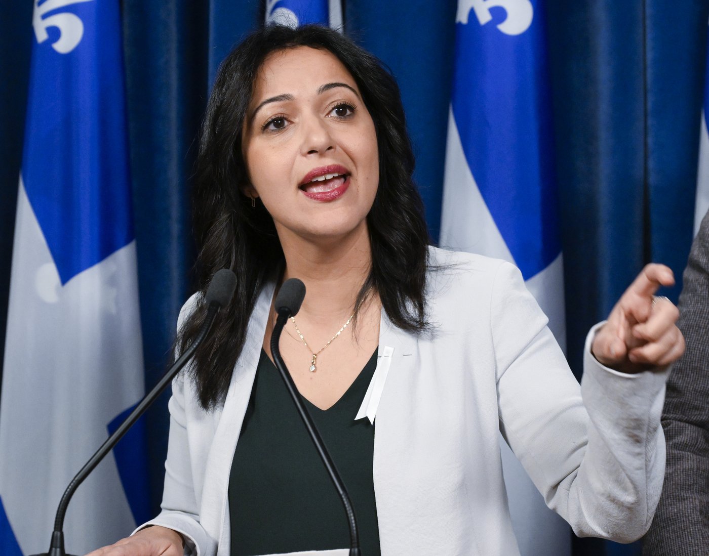 Moratorium called on new digital transformation contracts by Quebec government | iNFOnews.ca Moratorium called on new digital transformation contracts by Quebec government | iNFOnews.ca