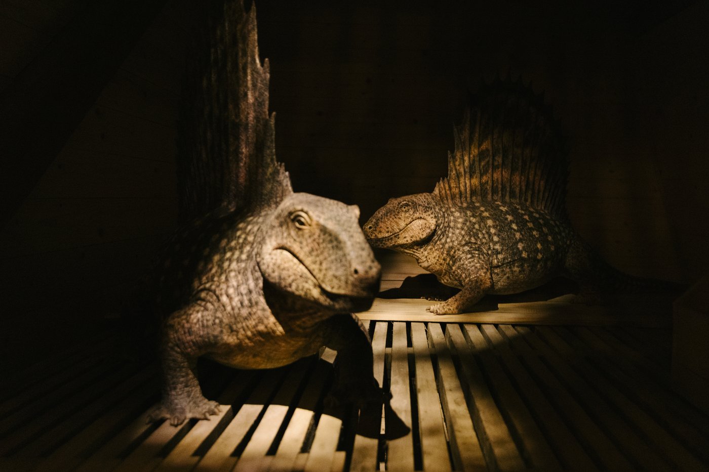 Takeaways from AP's report on creationist beliefs 100 years after the Scopes trial | iNFOnews.ca Takeaways from AP's report on creationist beliefs 100 years after the Scopes trial | iNFOnews.ca