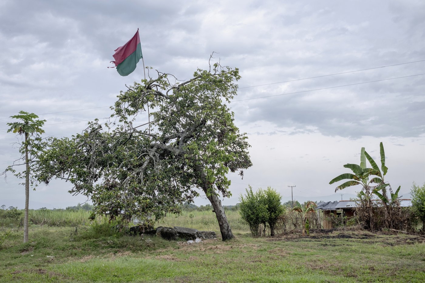After taking back land in Colombia, Indigenous prepare their youth to safeguard it | iNFOnews.ca After taking back land in Colombia, Indigenous prepare their youth to safeguard it | iNFOnews.ca