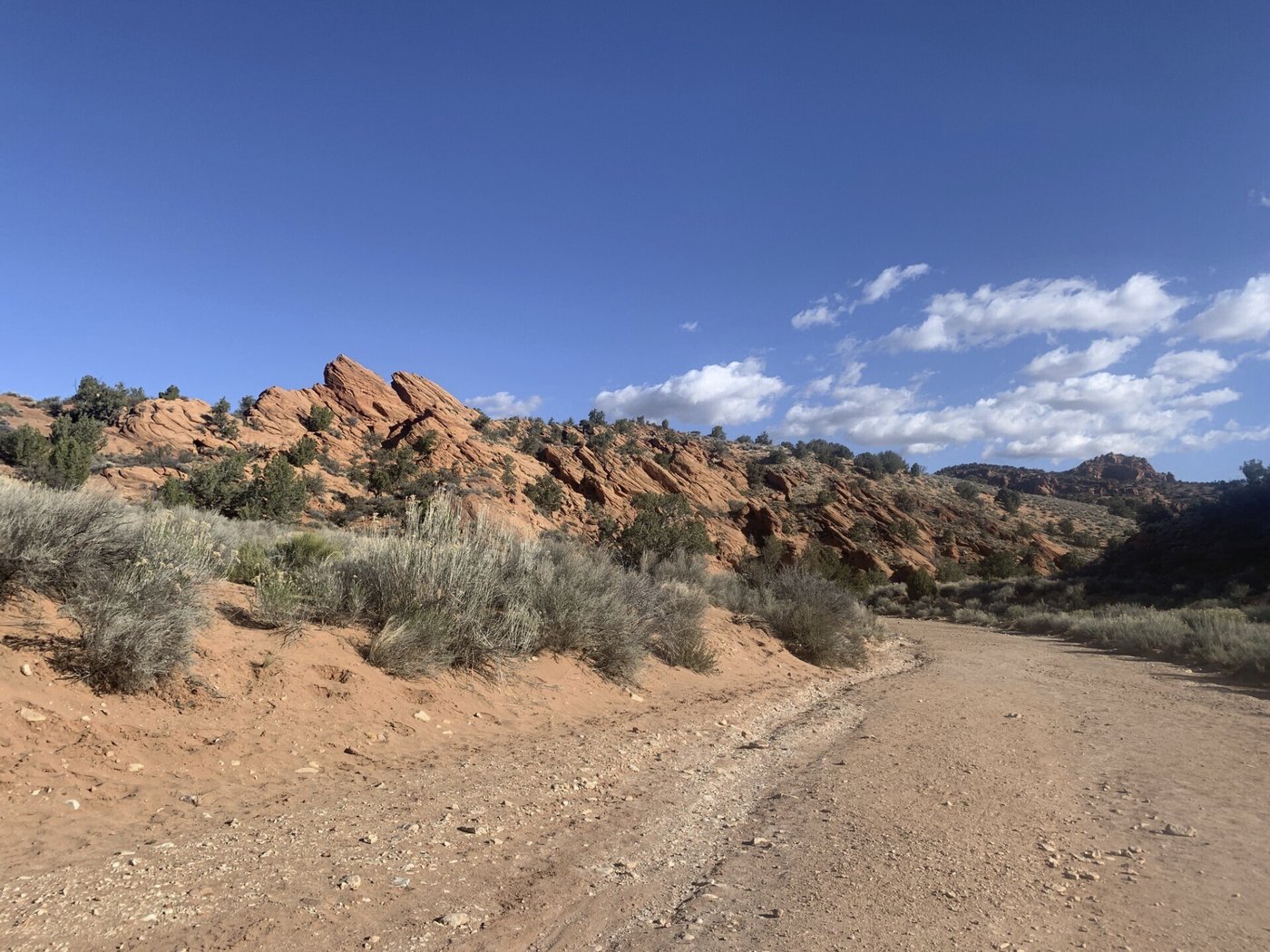 Supreme Court rejects Utah's push to wrest control of public land from the federal government | iNFOnews.ca Supreme Court rejects Utah's push to wrest control of public land from the federal government | iNFOnews.ca