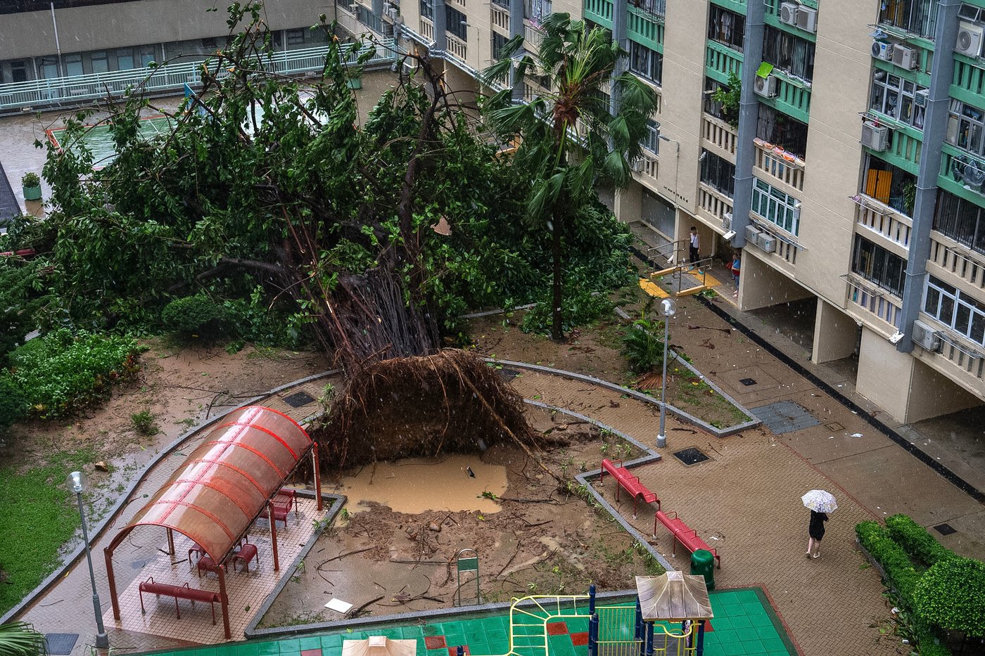 Typhoon Ragasa batters Hong Kong and south China after killing dozens in Taiwan and the Philippines | iNFOnews.ca Typhoon Ragasa batters Hong Kong and south China after killing dozens in Taiwan and the Philippines | iNFOnews.ca