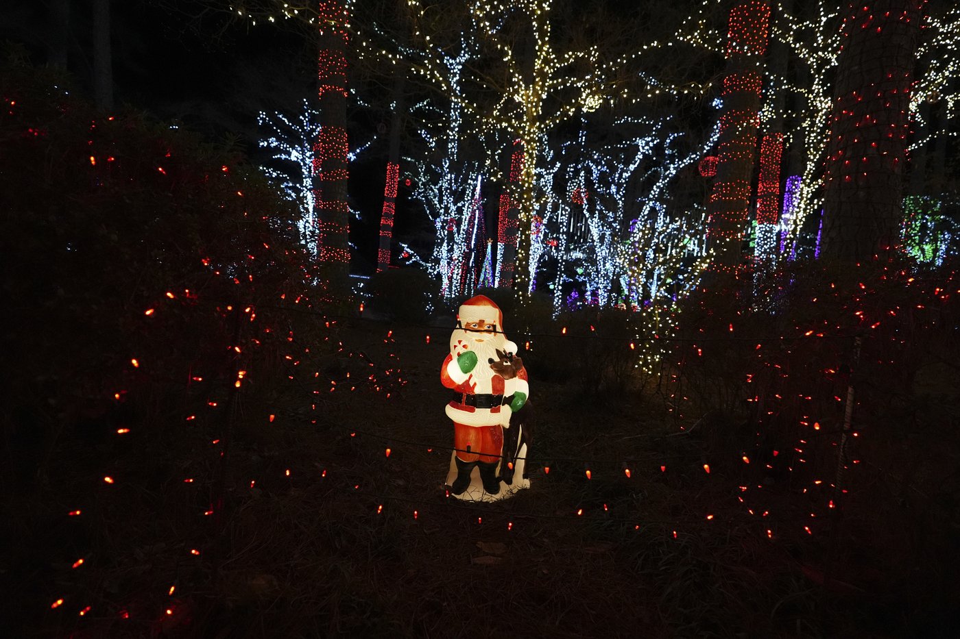 Elaborate holiday light displays are making spirits bright in a big way | iNFOnews.ca