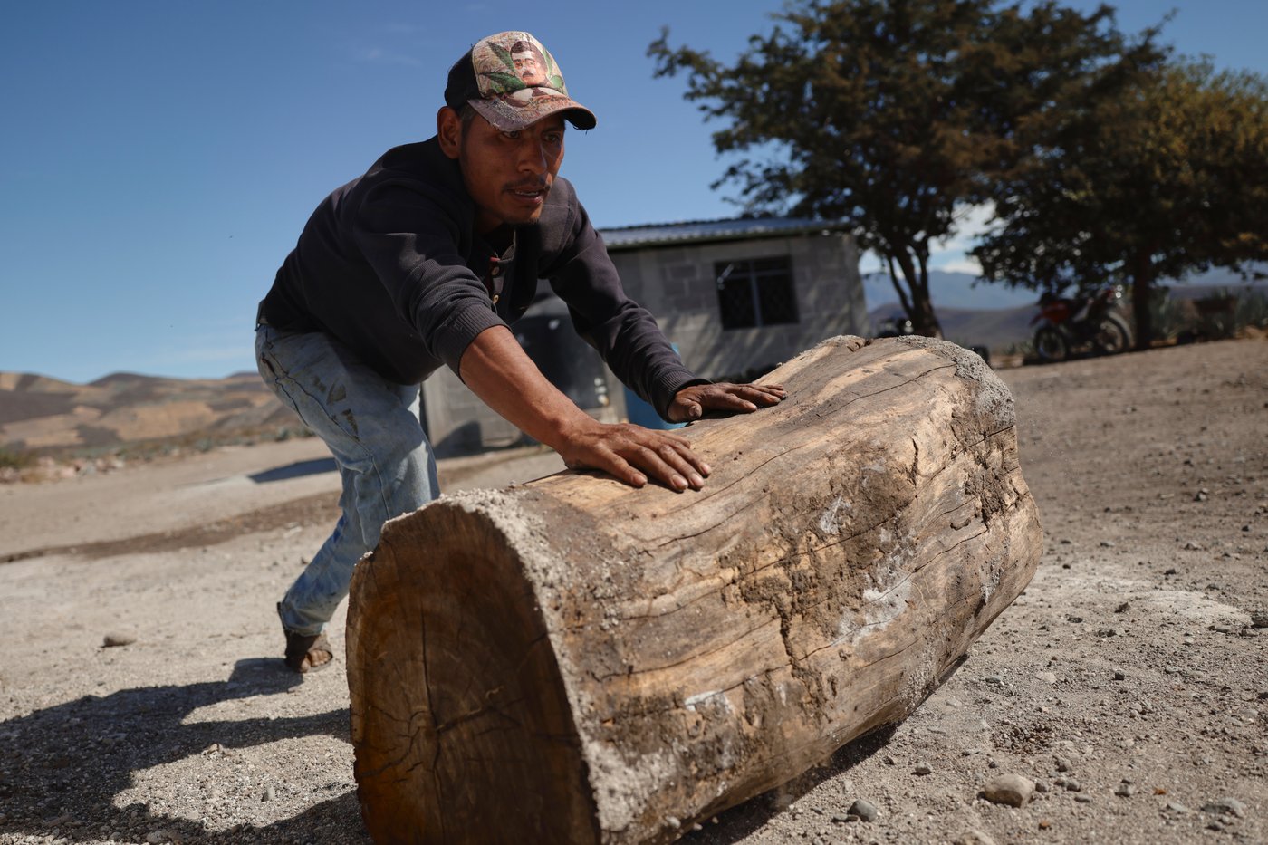 Mezcal's popularity is booming in the US. That comes with a growing environmental cost in Mexico | iNwine Mezcal's popularity is booming in the US. That comes with a growing environmental cost in Mexico | iNwine