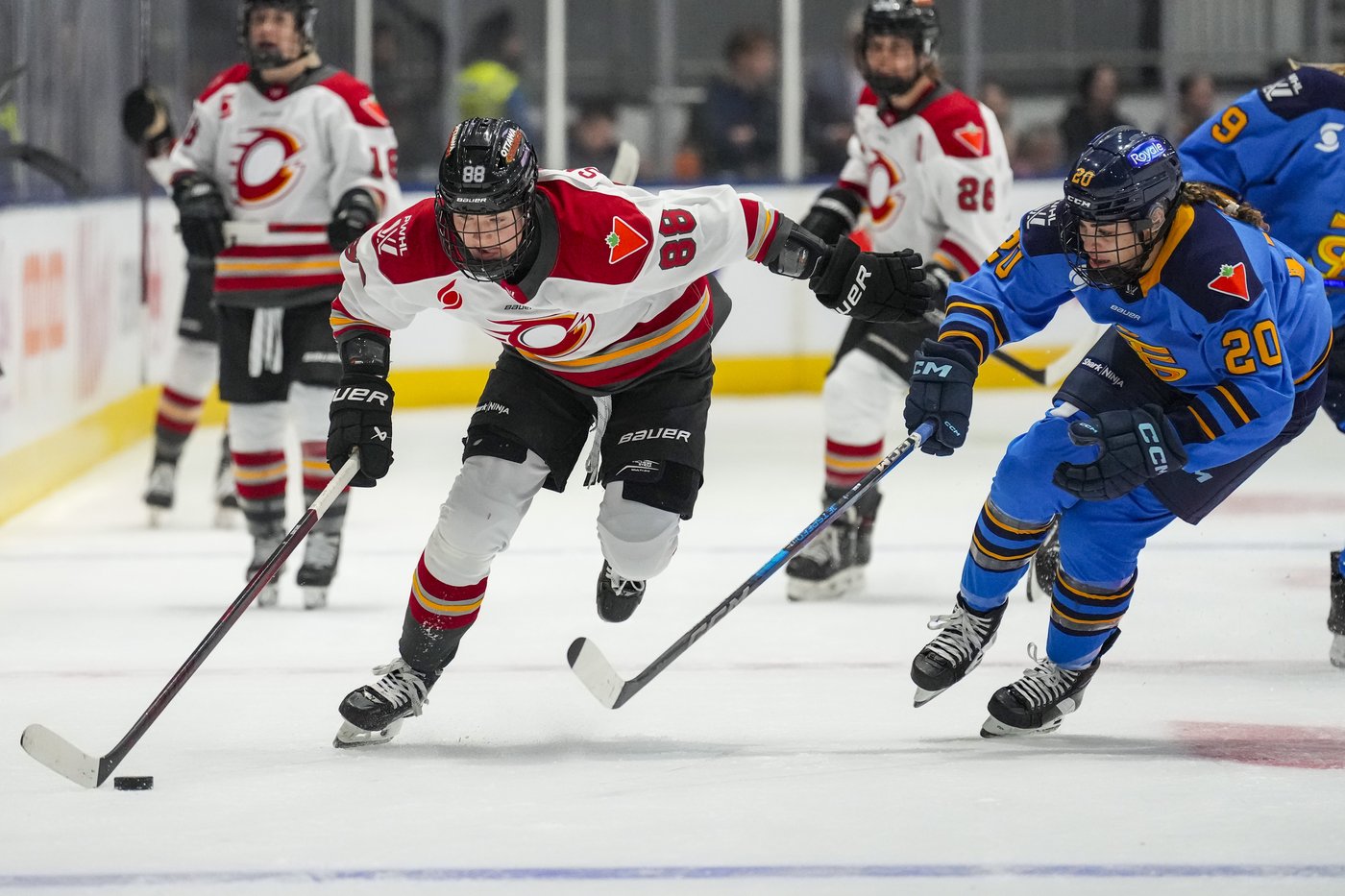 Edmonton looks to impress as expansion destination by hosting PWHL neutral-site game | iNFOnews.ca Edmonton looks to impress as expansion destination by hosting PWHL neutral-site game | iNFOnews.ca