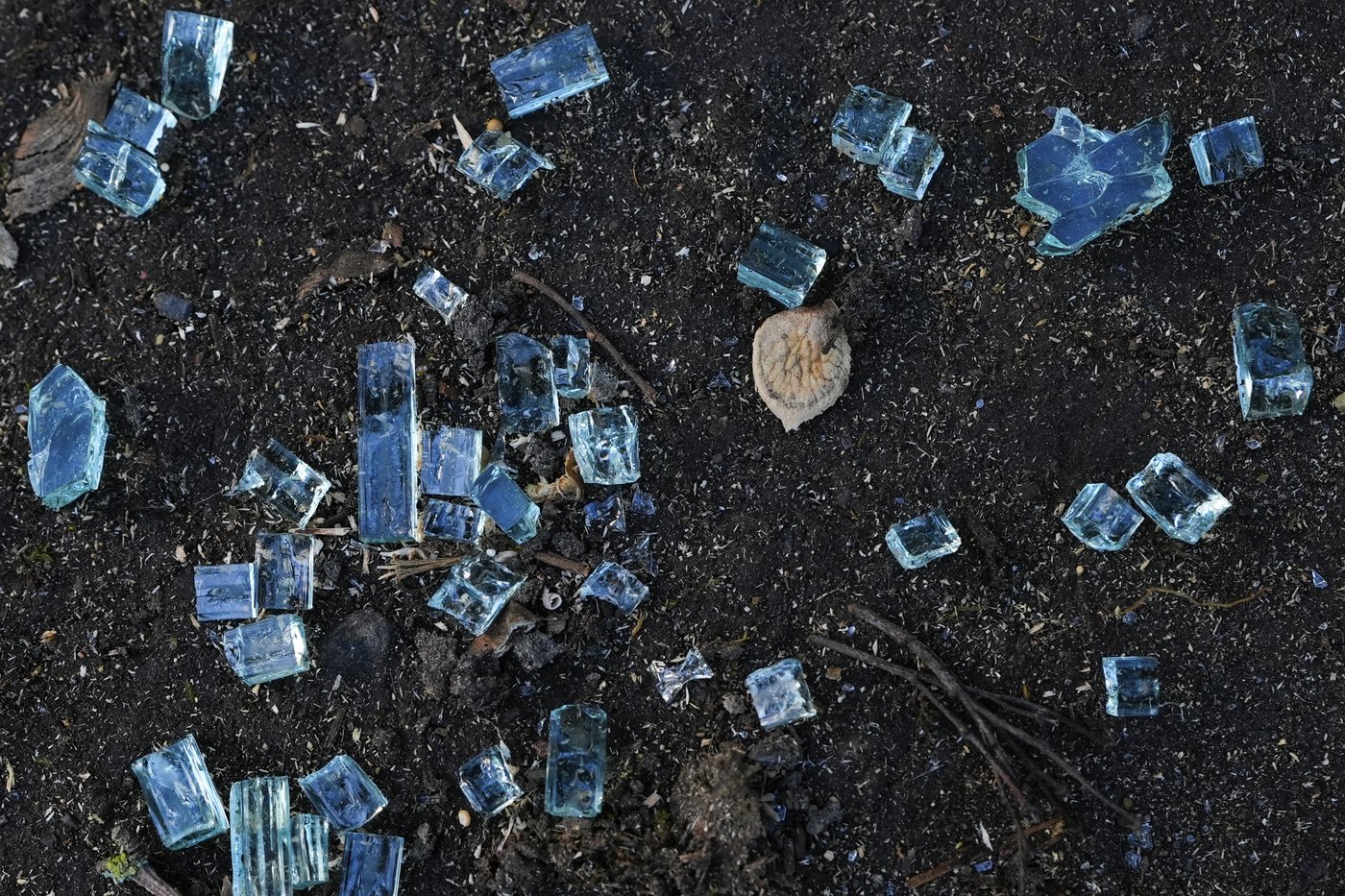 'Orchestrated attack' on Portland elections office shatters dozens of windows, police say | iNFOnews.ca