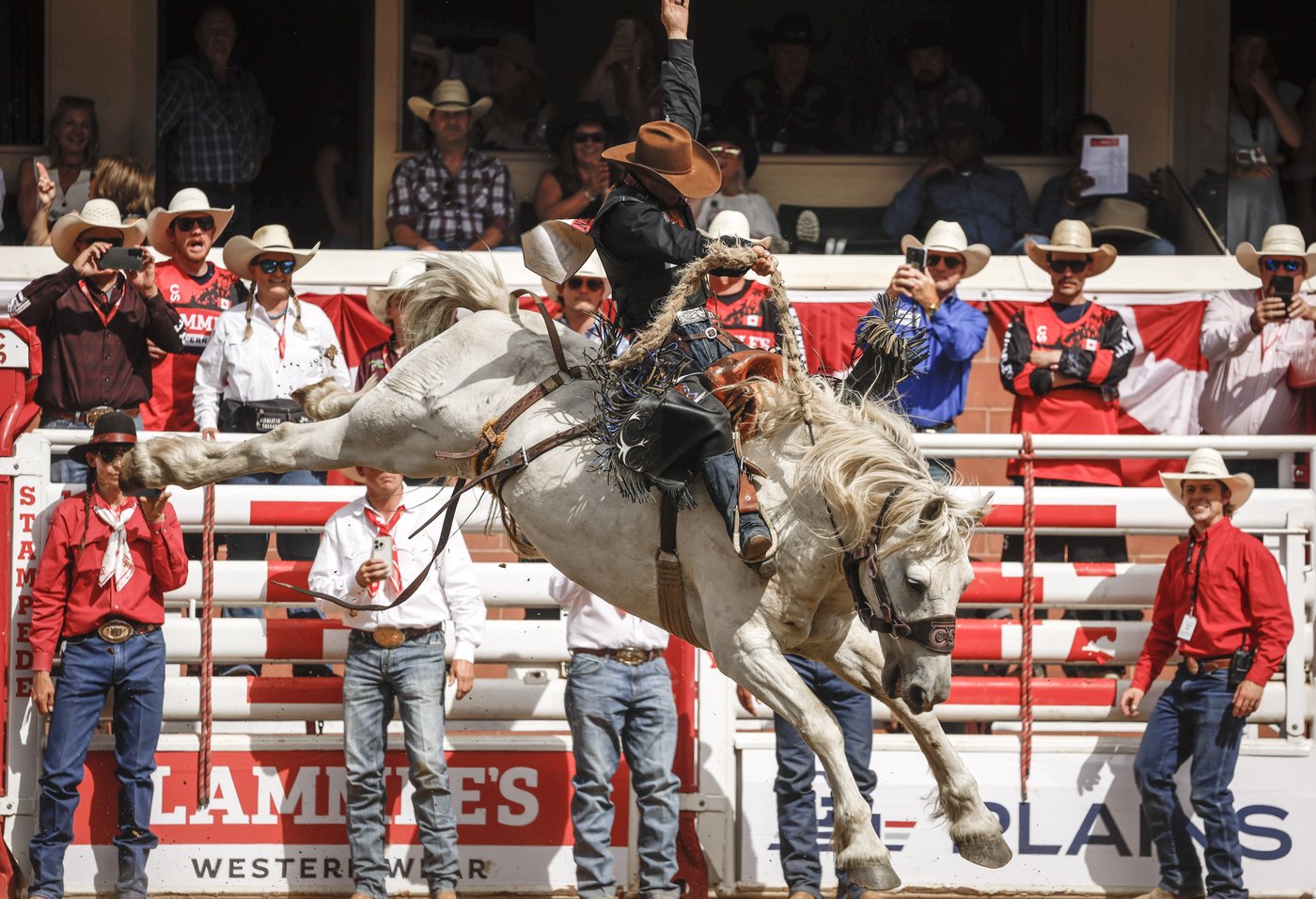 Rodeo winners' circle filled with Albertans at Stampede | iNFOnews.ca Rodeo winners' circle filled with Albertans at Stampede | iNFOnews.ca