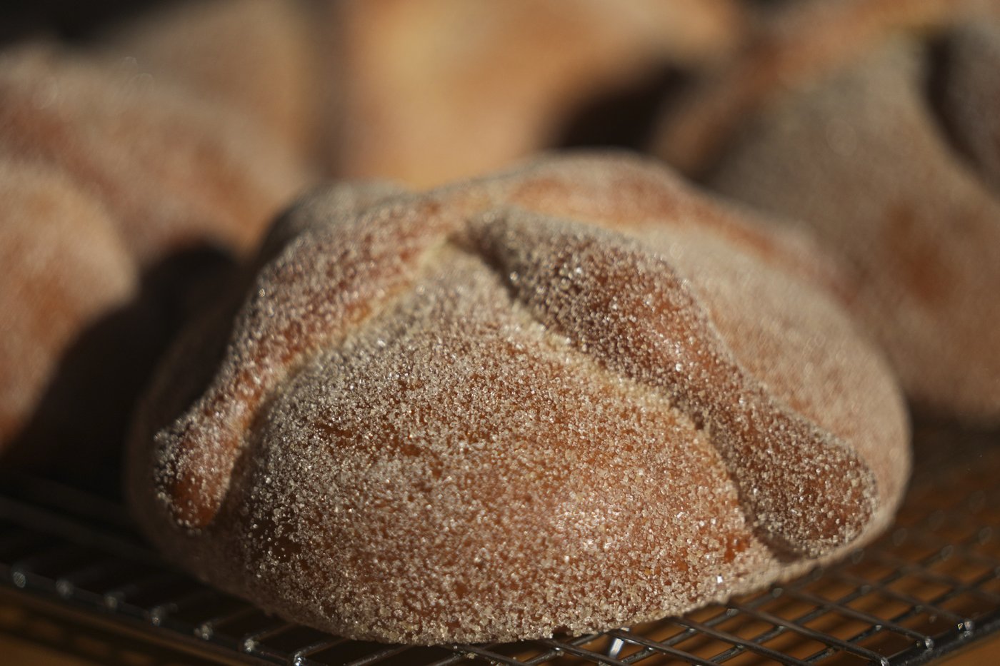 Care for a sweet treat during Mexico's Day of the Dead? Have a bite of 'pan de muerto' | iNFOnews.ca