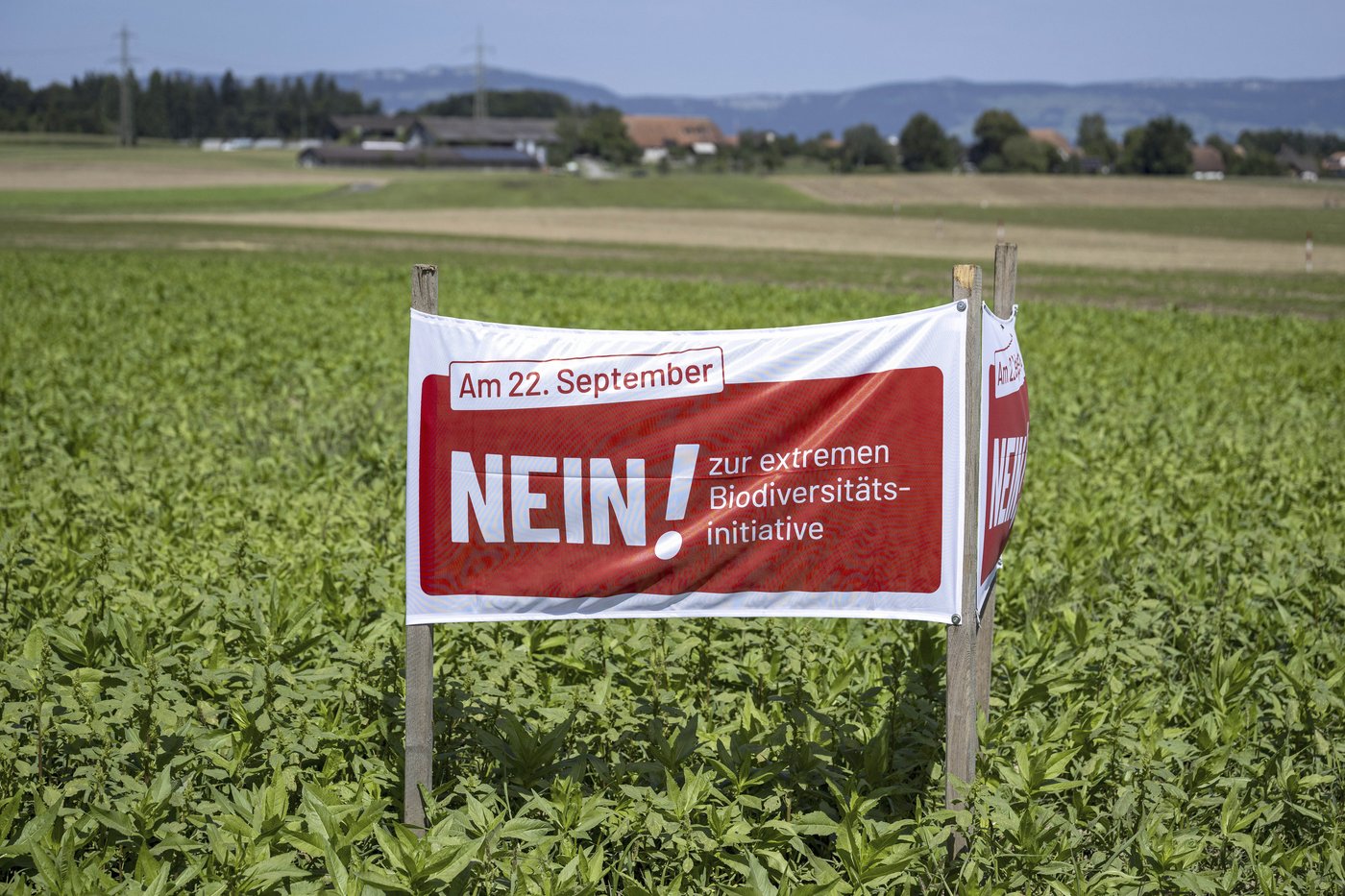 Birds, bees and ballots: Swiss voters to decide on plan to bolster country's fragile biodiversity | iNFOnews.ca