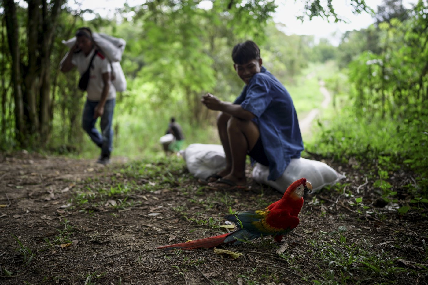 In Colombia, Amazon River's extreme drought falls hard on Indigenous communities | iNFOnews.ca In Colombia, Amazon River's extreme drought falls hard on Indigenous communities | iNFOnews.ca
