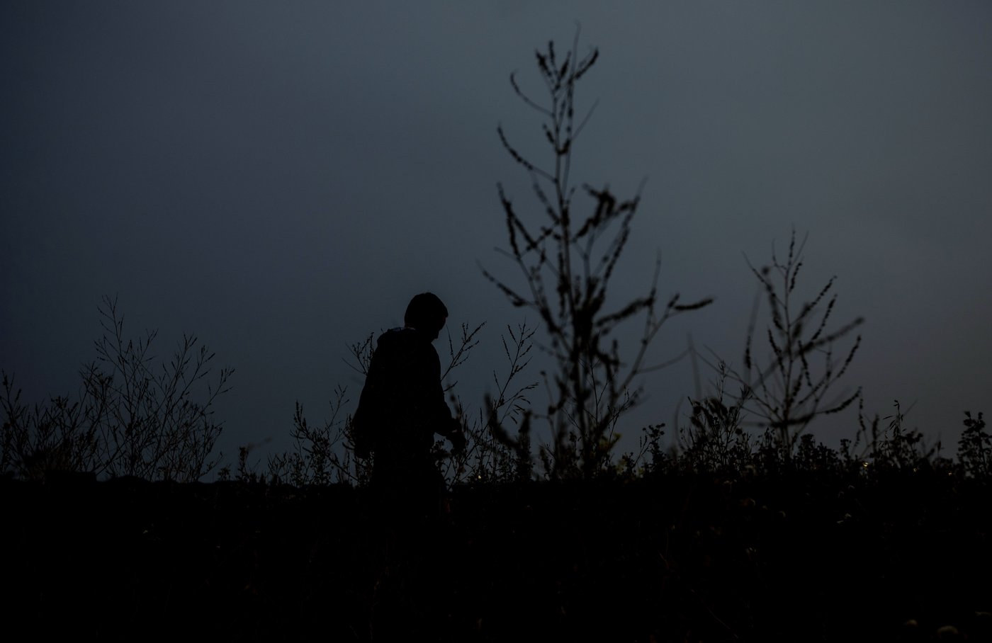 'We'll be moving': Alberta transgender children, families brace for legal changes | iNFOnews.ca