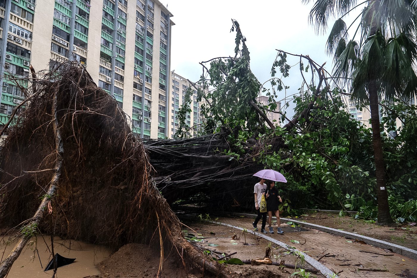 Typhoon Ragasa batters Hong Kong and south China after killing dozens in Taiwan and the Philippines | iNFOnews.ca Typhoon Ragasa batters Hong Kong and south China after killing dozens in Taiwan and the Philippines | iNFOnews.ca