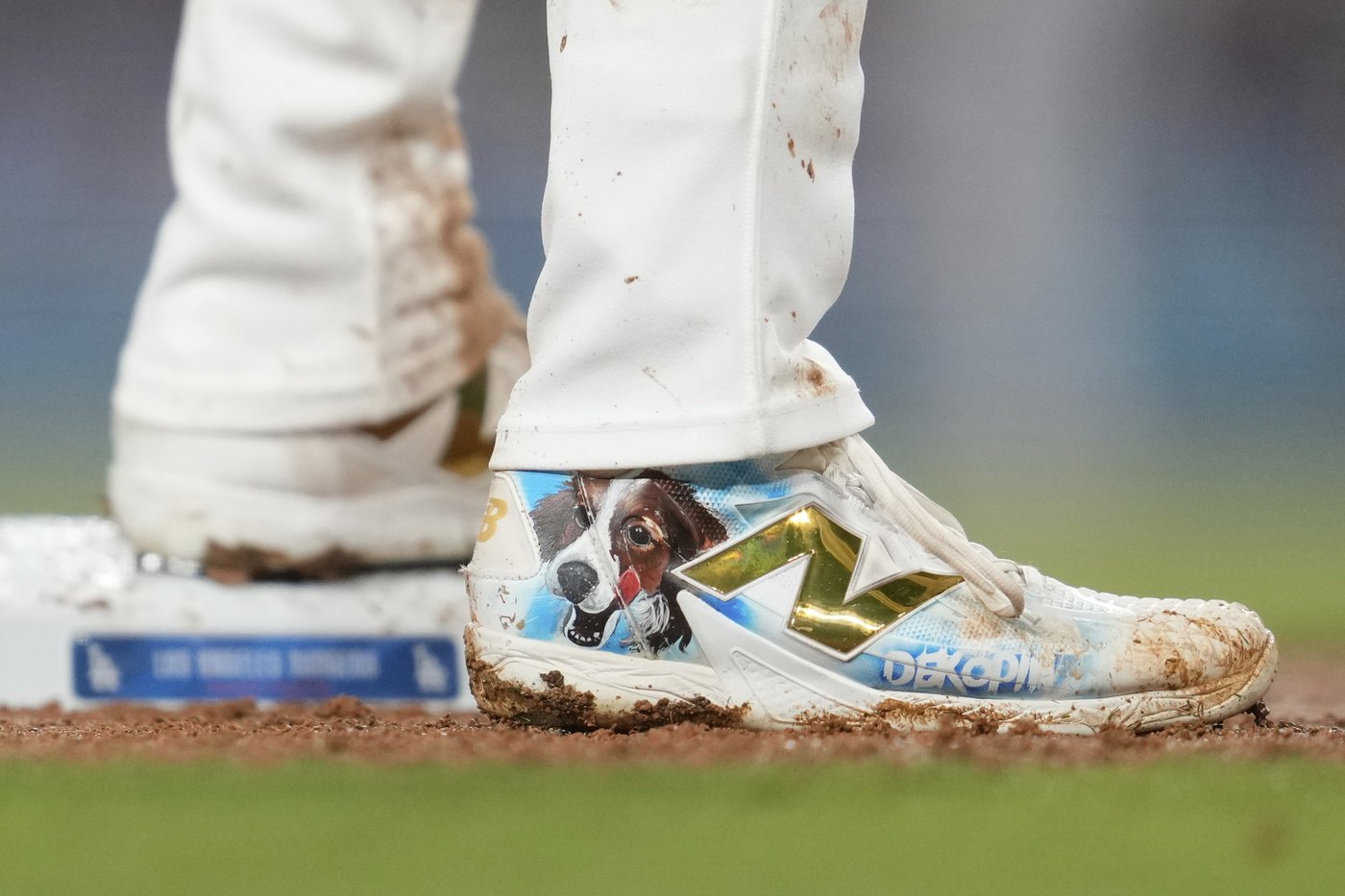 PHOTO COLLECTION: Ohtani's first season with Dodgers | iNFOnews.ca PHOTO COLLECTION: Ohtani's first season with Dodgers | iNFOnews.ca