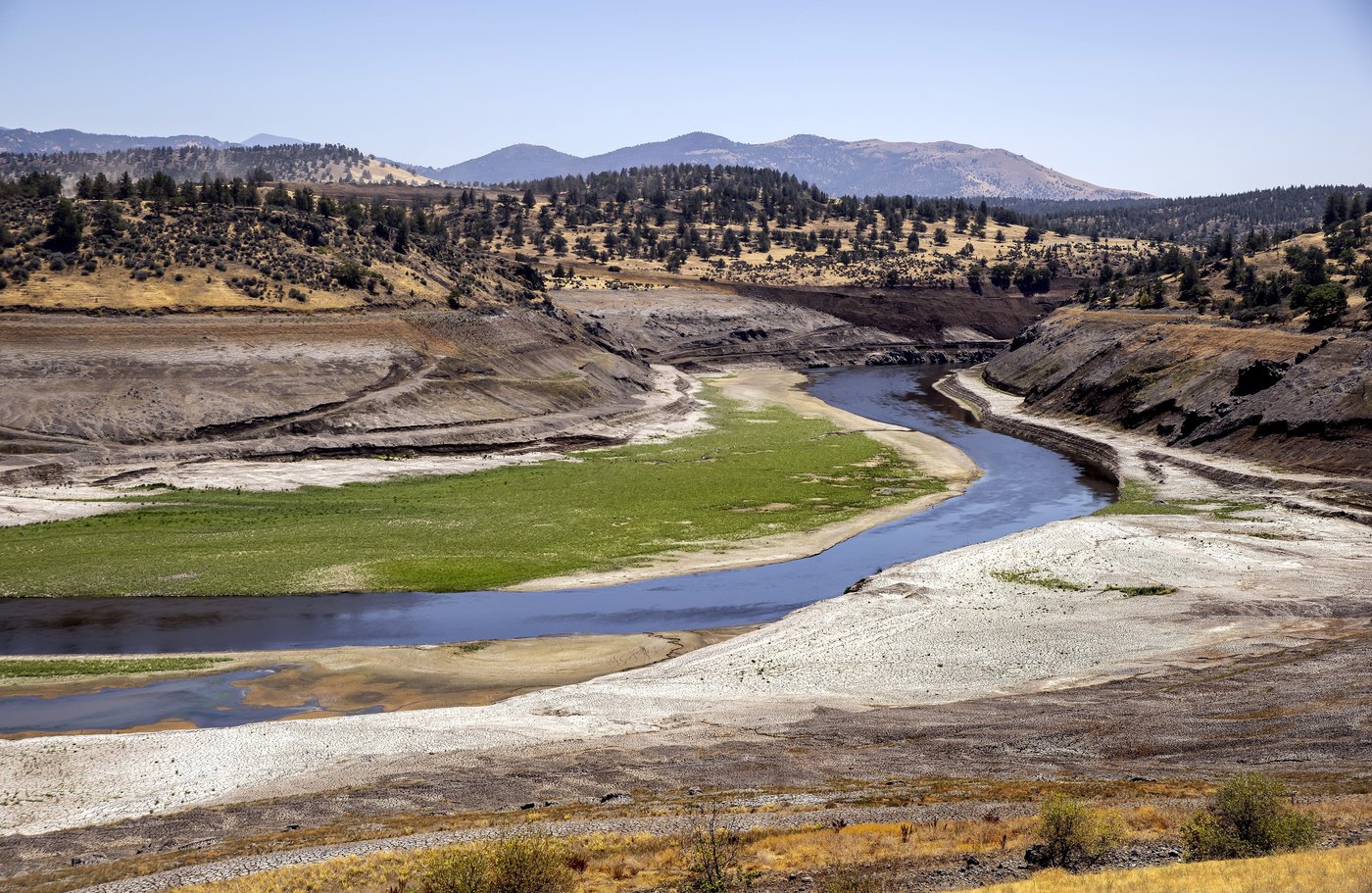 Salmon swim freely in the Klamath River for 1st time in a century after dams removed | iNFOnews.ca Salmon swim freely in the Klamath River for 1st time in a century after dams removed | iNFOnews.ca