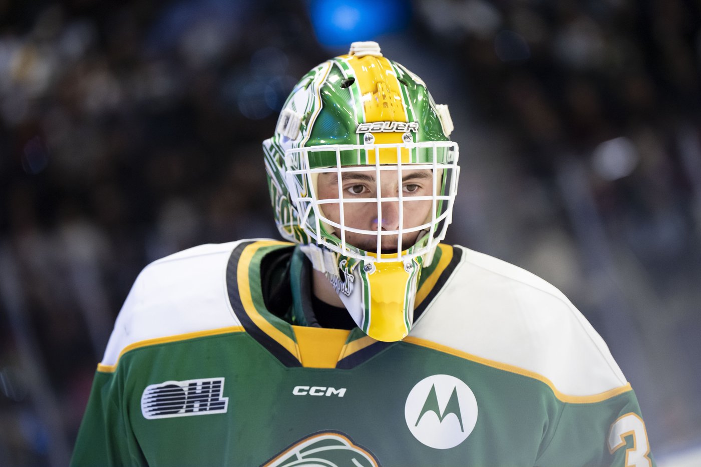 'Prove people wrong': Austin Elliott backstops Knights at Memorial Cup after WHL snub | iNFOnews.ca 'Prove people wrong': Austin Elliott backstops Knights at Memorial Cup after WHL snub | iNFOnews.ca