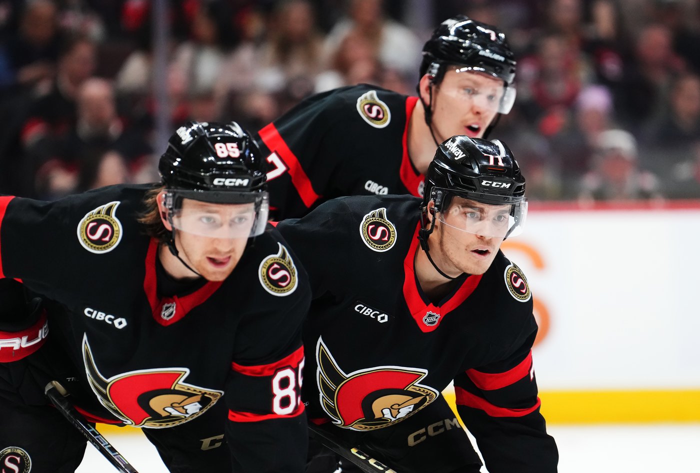 Senators' long-awaited return to playoffs 'a good first step:' GM Staios | iNFOnews.ca Senators' long-awaited return to playoffs 'a good first step:' GM Staios | iNFOnews.ca