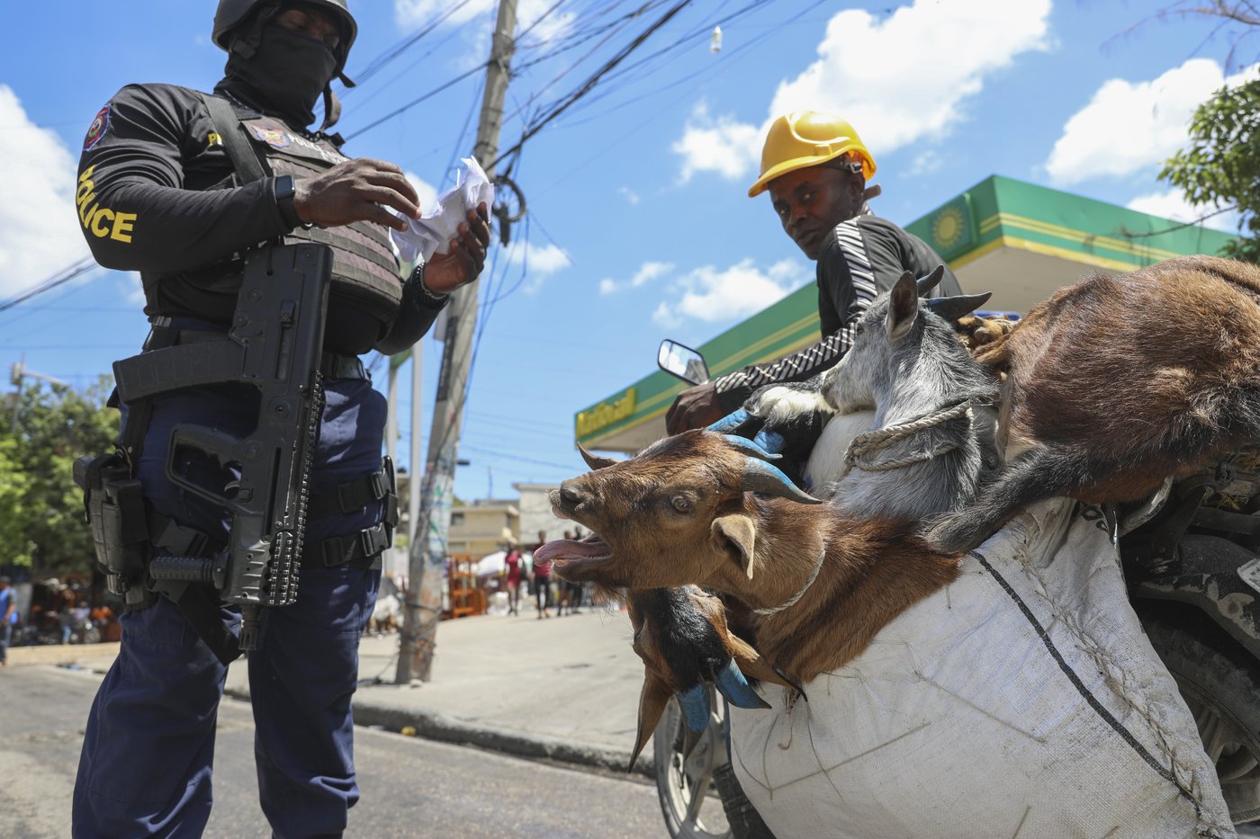 Haiti creates a provisional electoral council to prepare for the first elections since 2016 | iNFOnews.ca Haiti creates a provisional electoral council to prepare for the first elections since 2016 | iNFOnews.ca