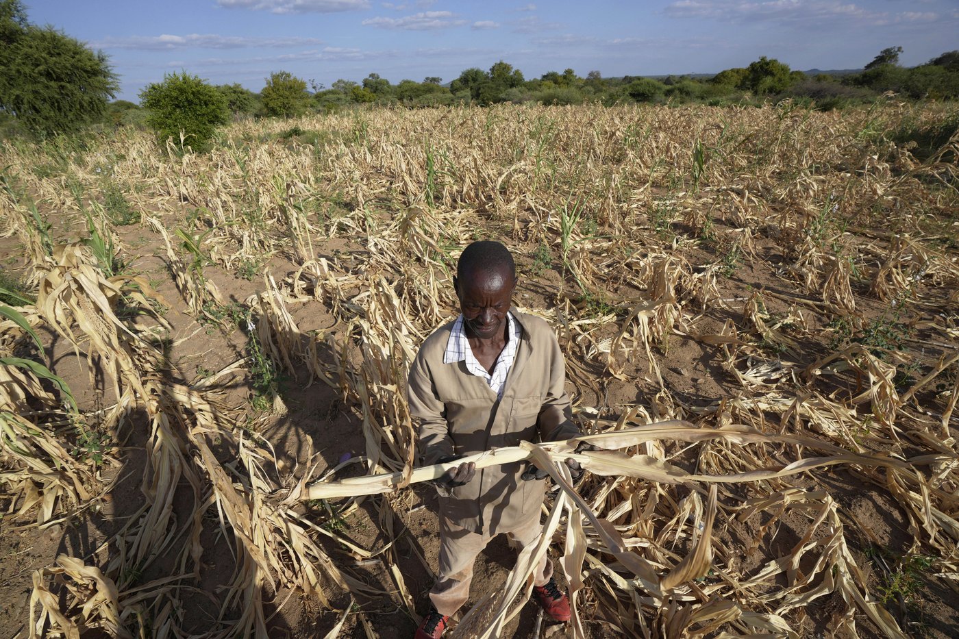 Multilateral banks are key to financing the fight against global warming. Here is how they work | iNFOnews.ca Multilateral banks are key to financing the fight against global warming. Here is how they work | iNFOnews.ca