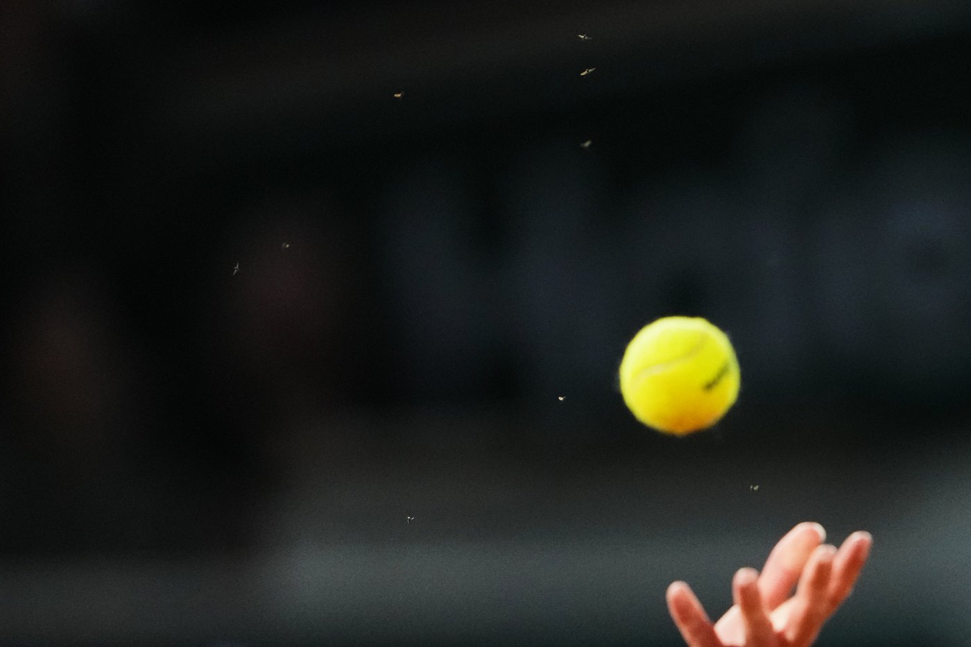 Buggin' out: Little flies bother Djokovic and Zverev during their French Open quarterfinal | iNFOnews.ca