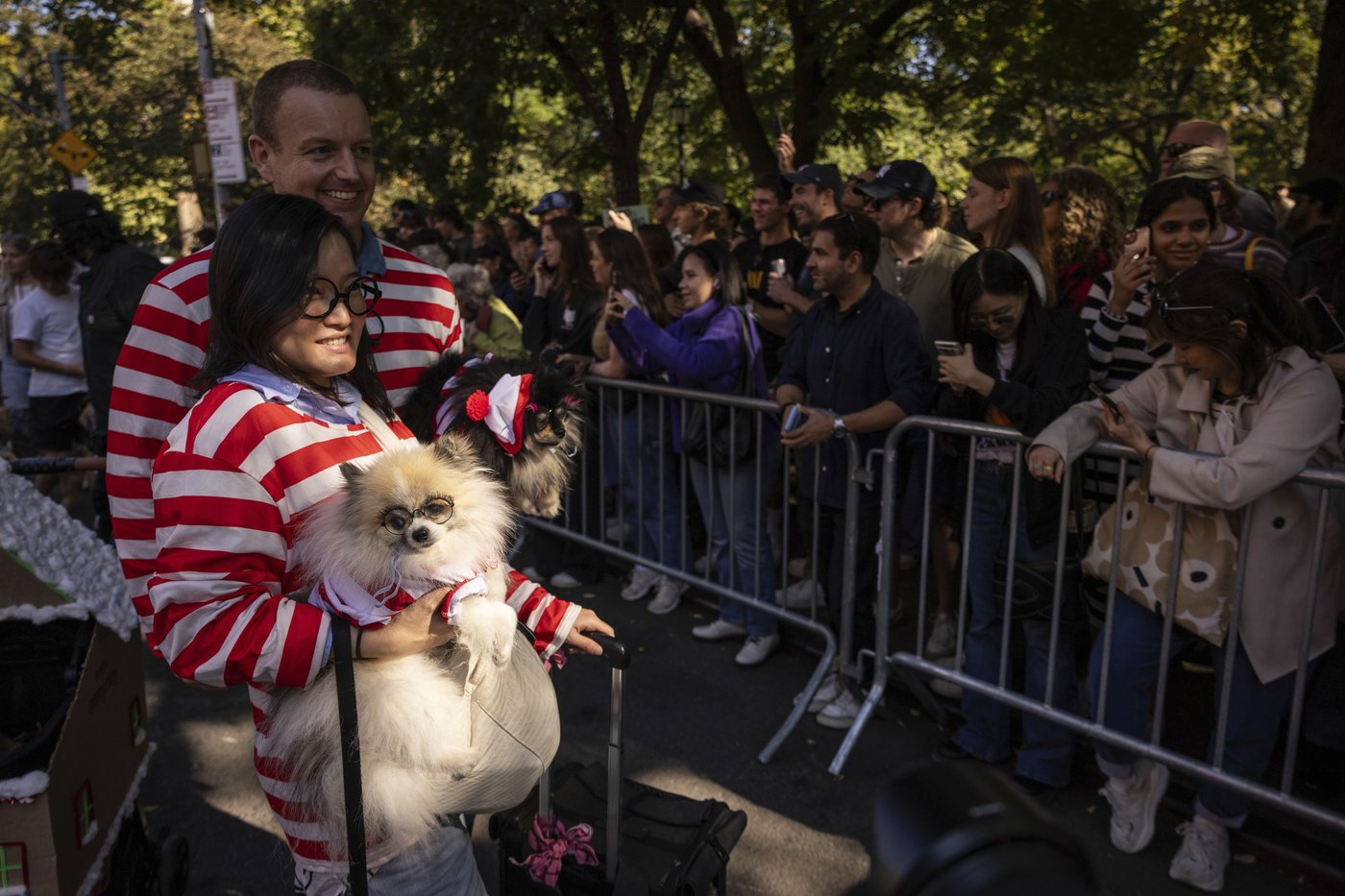 Pups on parade: Dogs dressed to the nines for annual New York City Halloween event | iNFOnews.ca