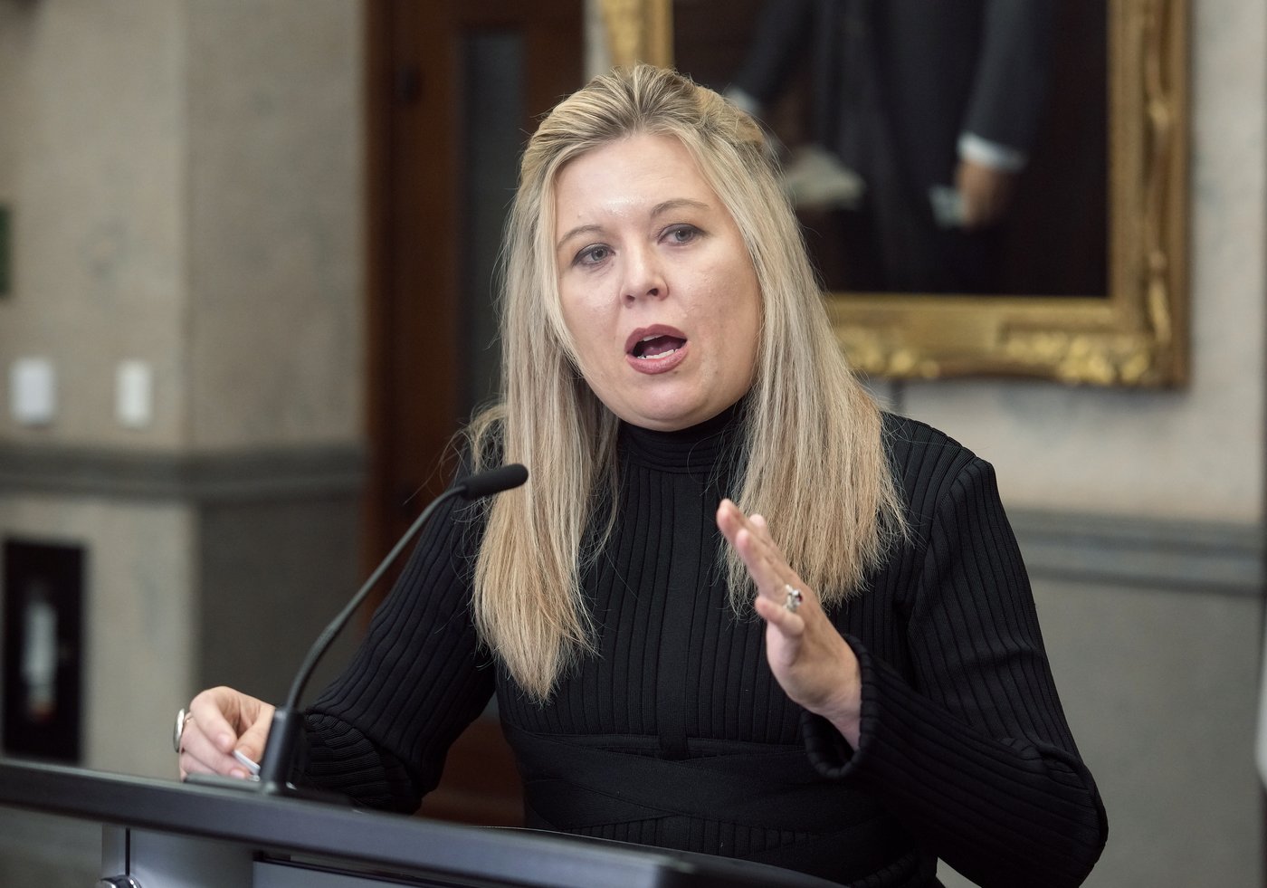 Conservatives plan to try and amend asylum system rules in border security bill | iNFOnews.ca Conservatives plan to try and amend asylum system rules in border security bill | iNFOnews.ca