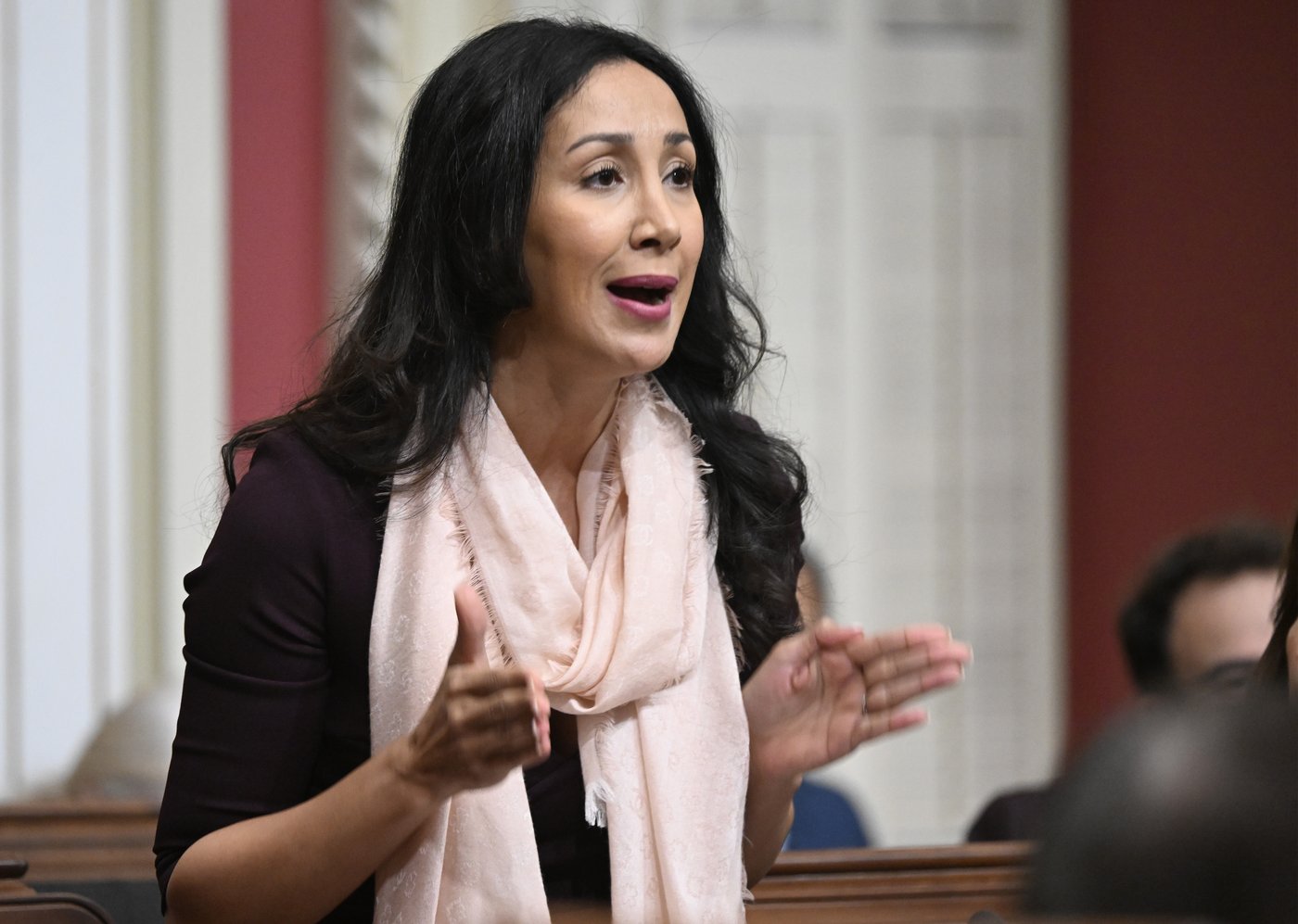 Quebec MNA Marwah Rizqy suspended from Liberal caucus, stripped of leadership duties | iNFOnews.ca