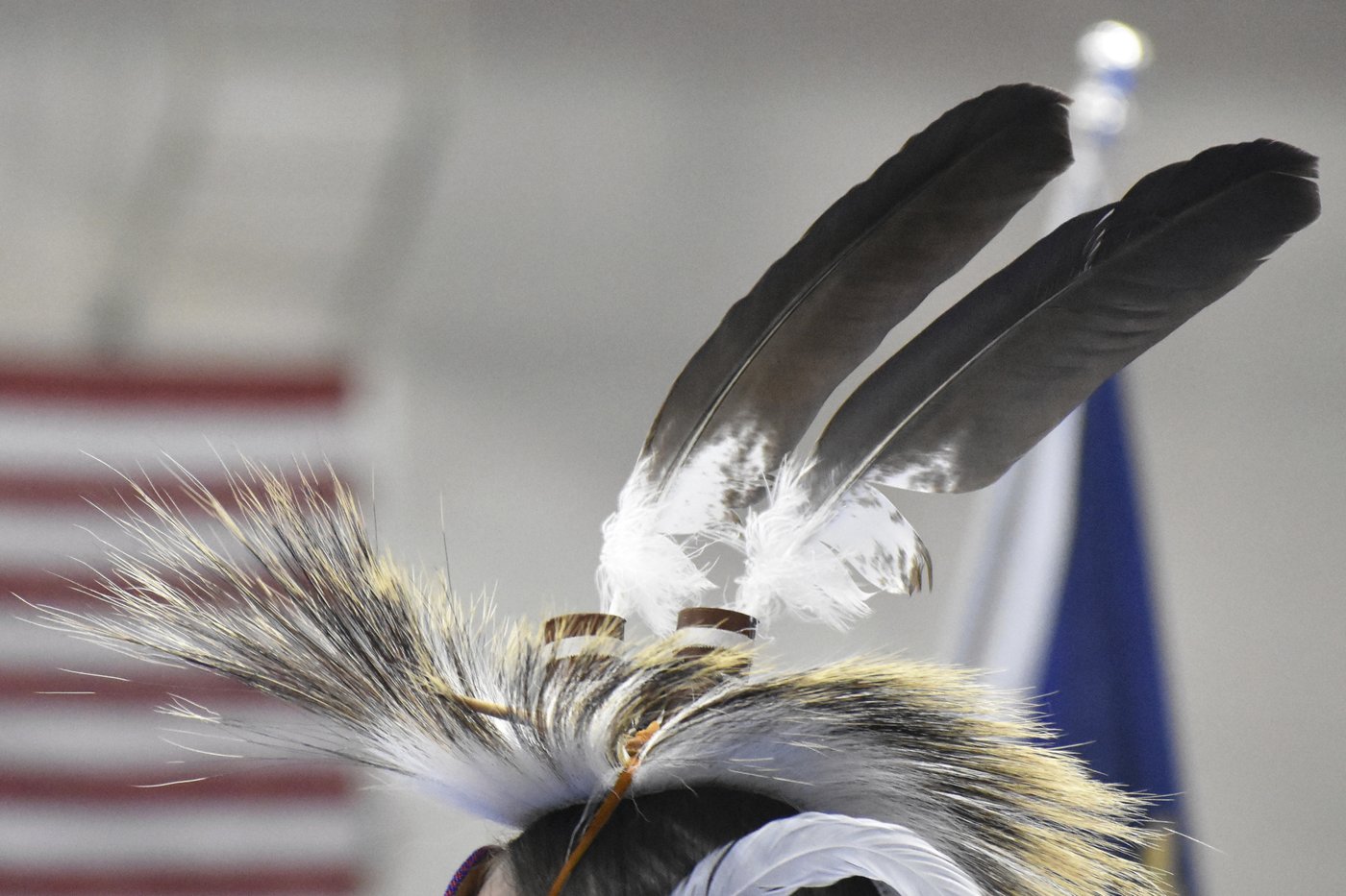 Poachers are exploiting the high demand for eagle feathers that are sacred among Native Americans | iNFOnews.ca