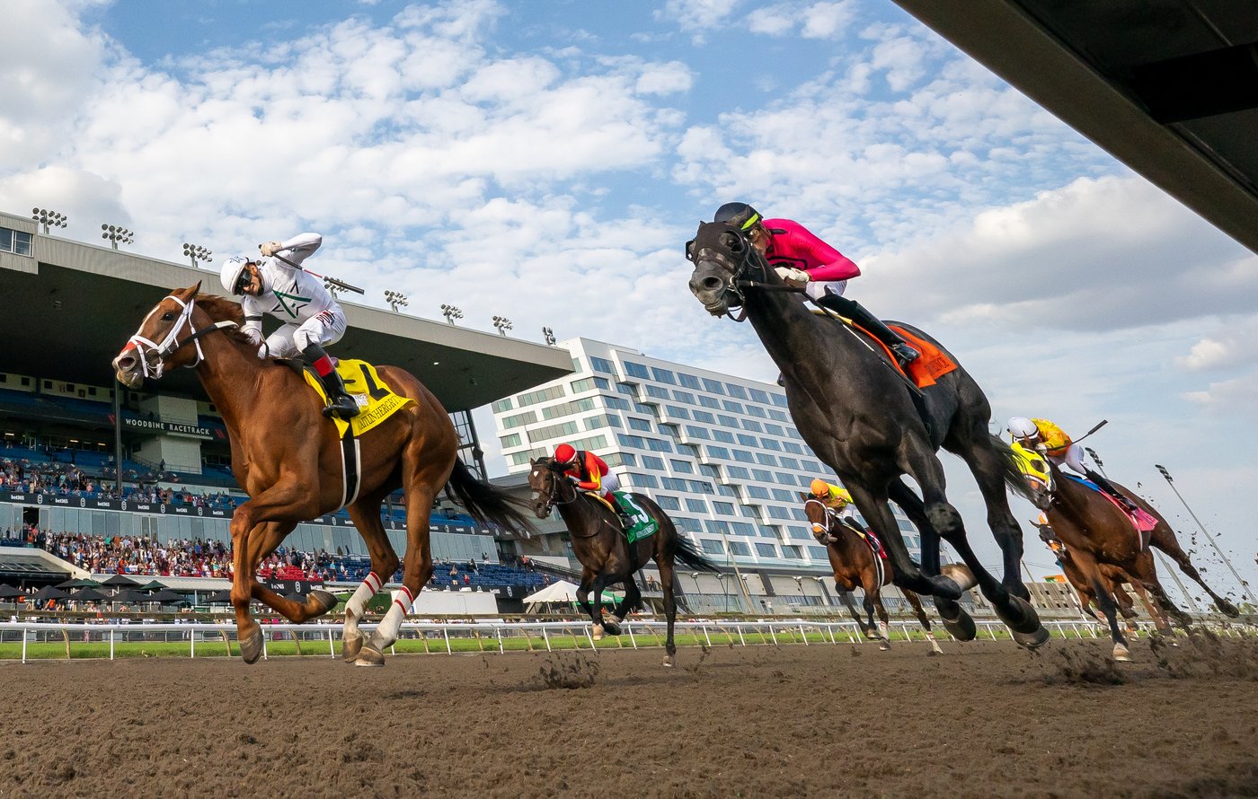 Top Canadian breeder says U.S. tariffs could cripple horse-racing industry | iNFOnews.ca