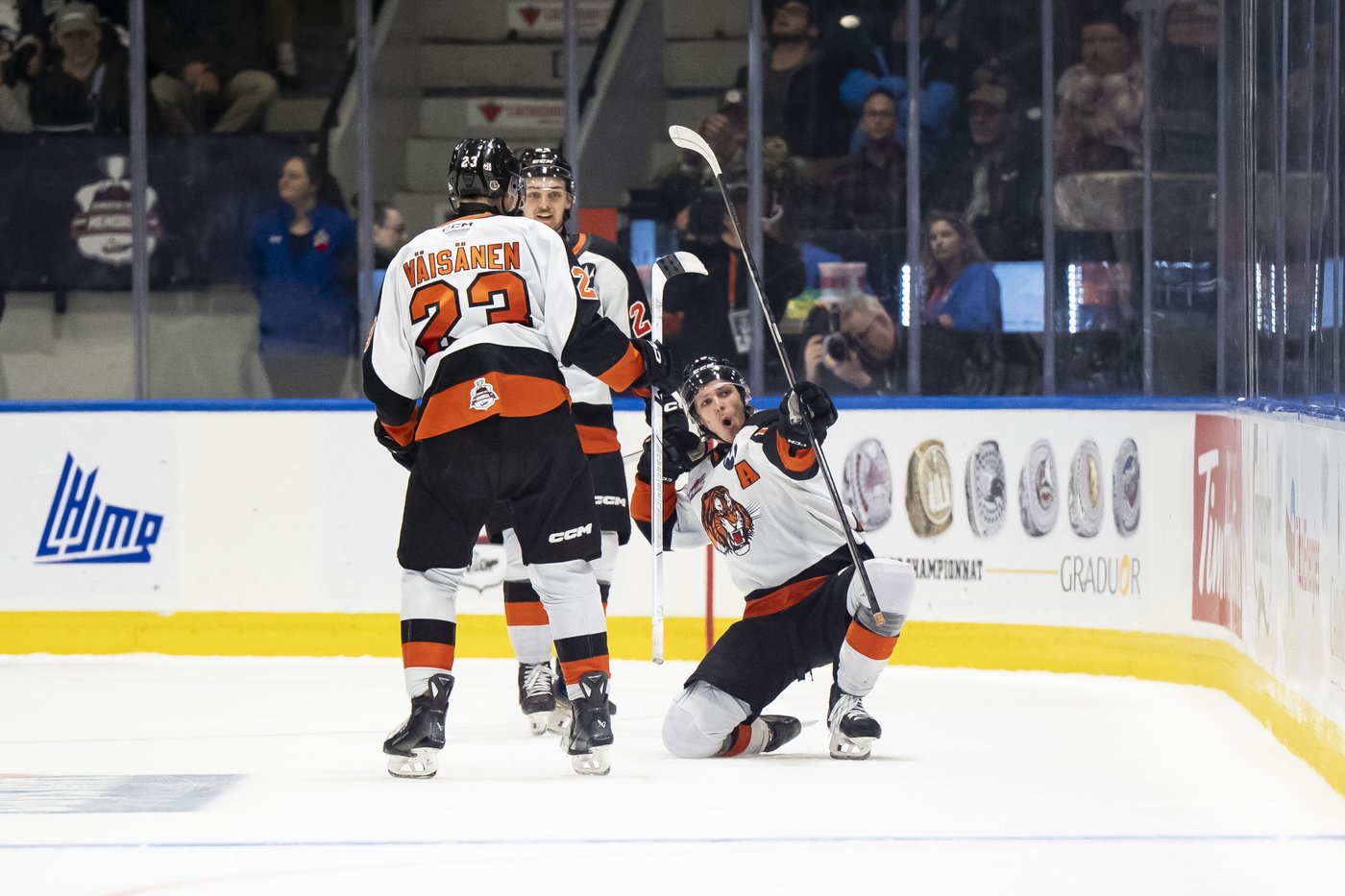 Memorial Cup: St. Martin lifts Medicine Hat Tigers over Rimouski Océanic 5-4 | iNFOnews.ca