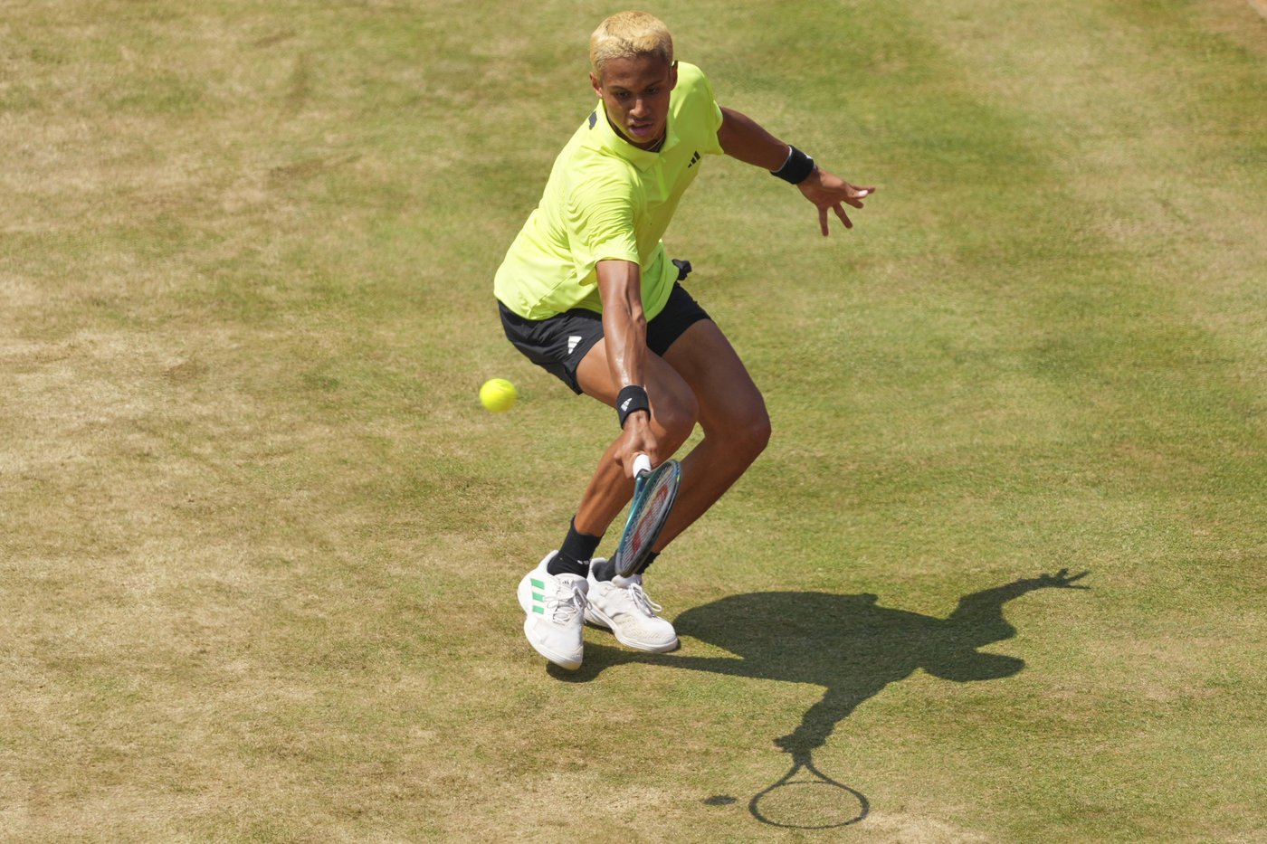 Canada's Auger-Aliassime, Shapovalov and Diallo all fall in grass-court action | iNFOnews.ca