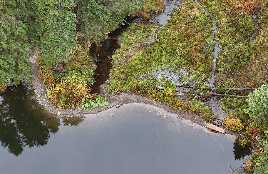 Regional district warns of AI misinformation after North Thompson dam scare | iNFOnews.ca Aerial photo of a lake with a gravel dam