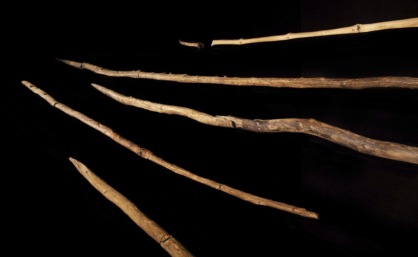 Ancient wooden spears found in Germany may have been wielded by Neanderthals, a new study suggests | iNFOnews.ca