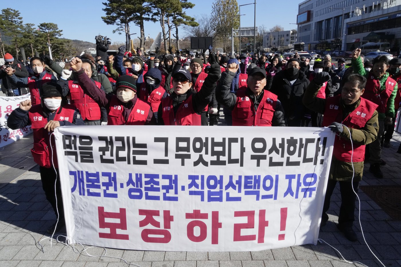 South Korea publishes compensation plan for dog meat farmers ahead of 2027 ban | iNFOnews.ca