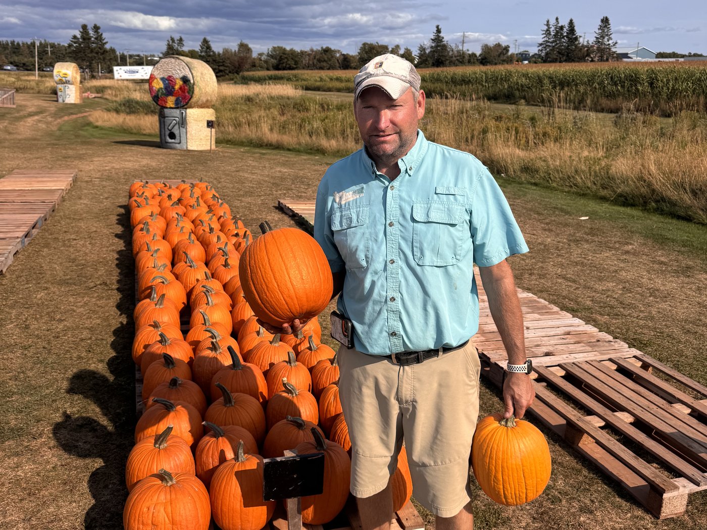 'There's something strange in the pumpkin fields.' Drought & heat frightening farmers | iNFOnews.ca 'There's something strange in the pumpkin fields.' Drought & heat frightening farmers | iNFOnews.ca