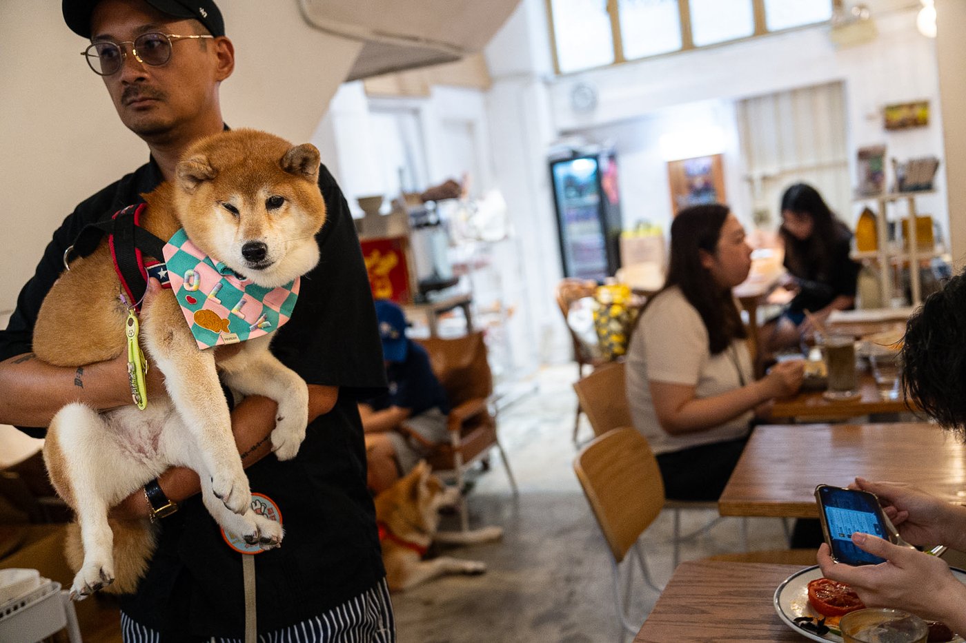 Hong Kong eateries welcome dogs as city relaxes ban | iNwine Hong Kong eateries welcome dogs as city relaxes ban | iNwine