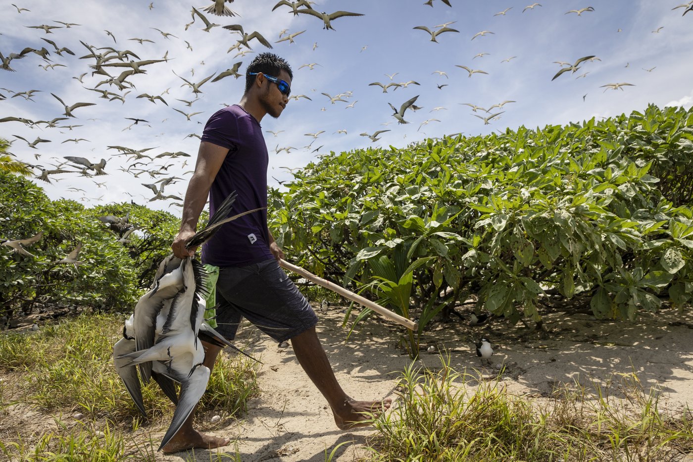 Palau’s vibrant Helen Reef is a magnet for poachers. These rangers keep it safe | iNFOnews.ca