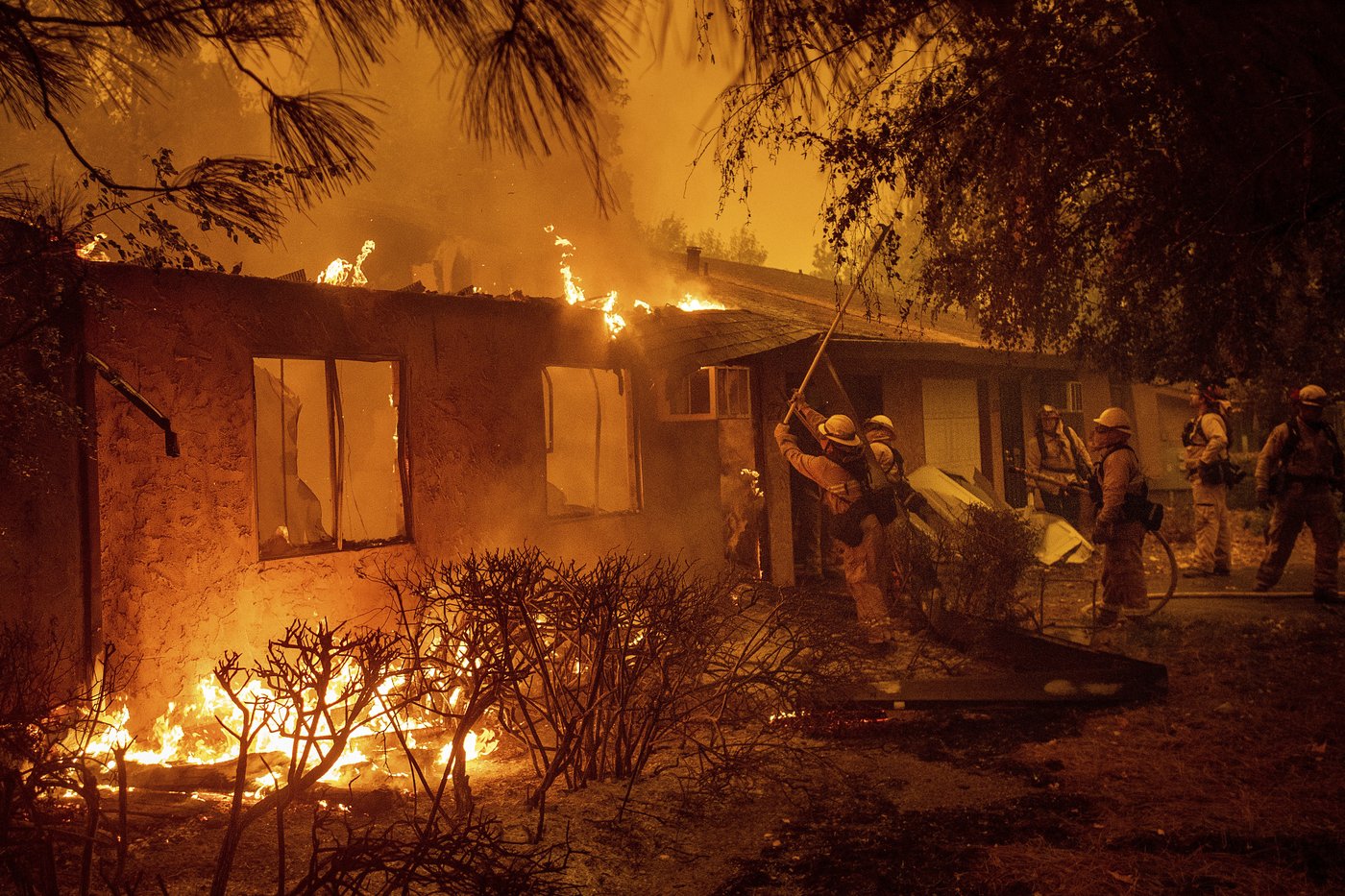 Trump wants states to clean up forests to stop wildfires. But his administration cut off funds | iNFOnews.ca Trump wants states to clean up forests to stop wildfires. But his administration cut off funds | iNFOnews.ca