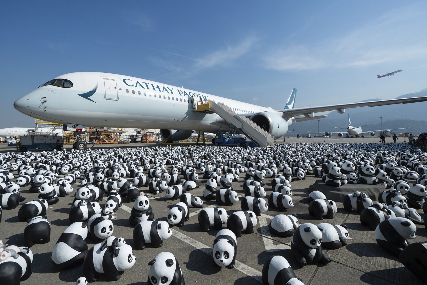 Hong Kong launches panda sculpture tour as the city hopes the bear craze boosts tourism | iNFOnews.ca