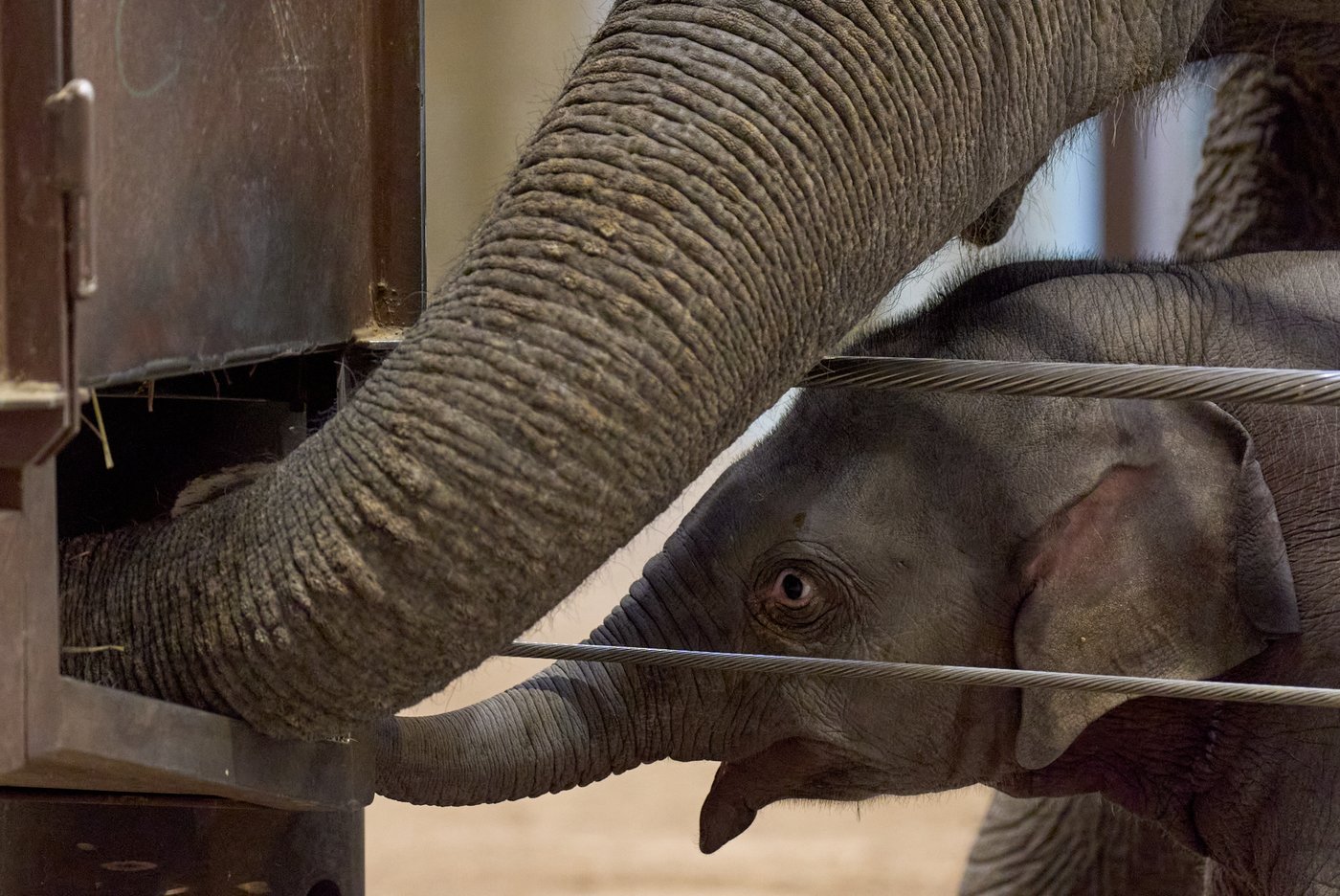 The top photos of the day by AP's photojournalists | iNwheels