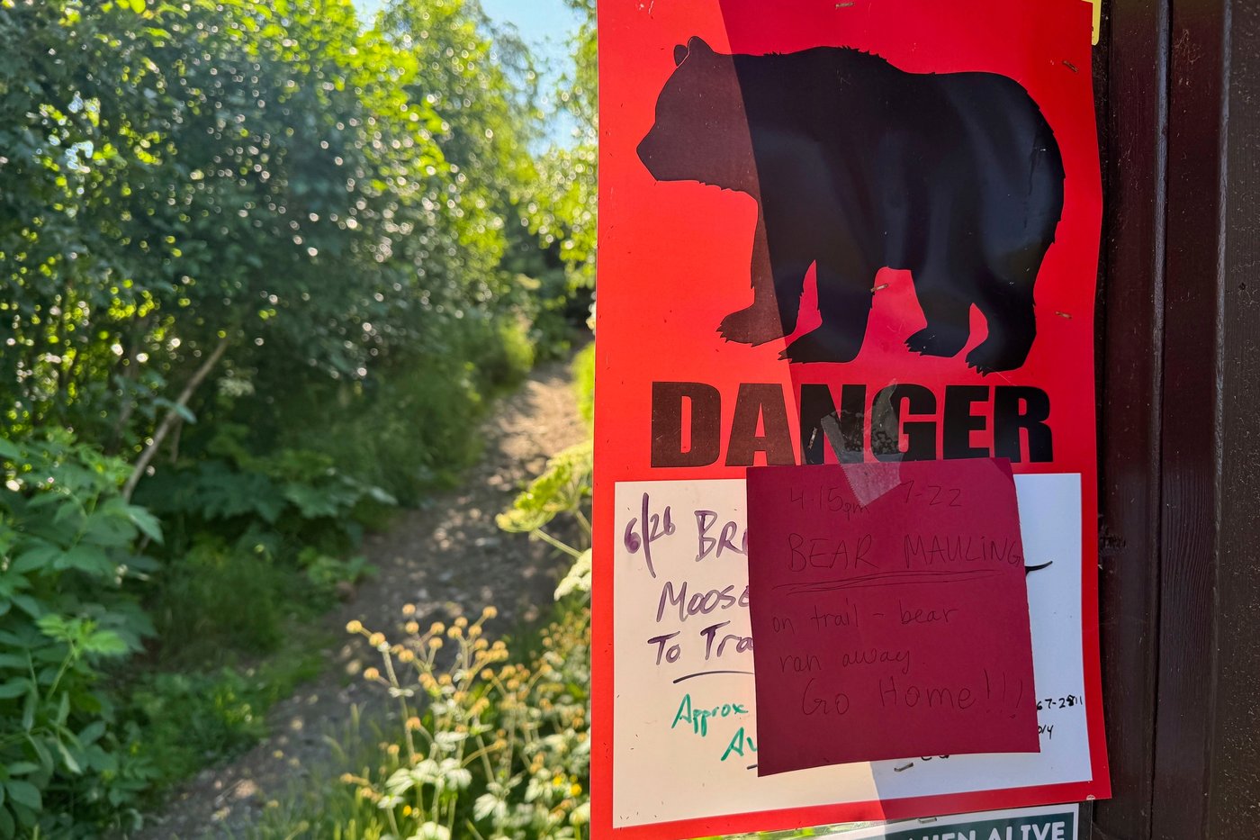 Anchorage warns hikers after 2 bear attacks in a week | iNFOnews.ca