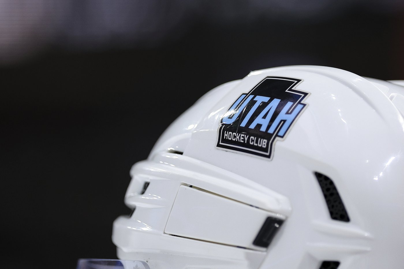 Utah Mammoth is the permanent name of the NHL team in Salt Lake City | iNFOnews.ca Utah Mammoth is the permanent name of the NHL team in Salt Lake City | iNFOnews.ca