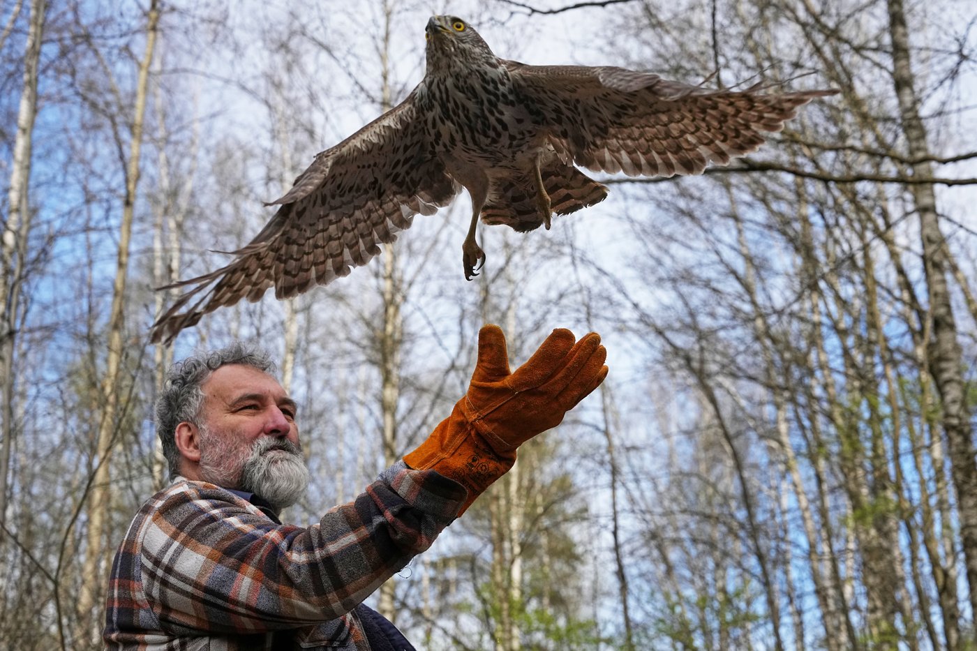 The top photos of the day by AP's photojournalists | iNwheels