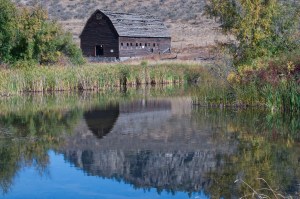A wooden, decaying barn sits on a grassy field with a calm stream in the foreground.