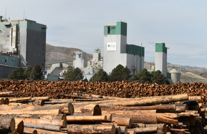 Kamloops pulp stink blamed on power outage | iNFOnews.ca Kamloops pulp stink blamed on power outage | iNFOnews.ca