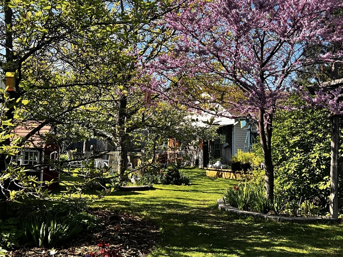 iN PHOTOS: A peek into backyard oases in Kamloops, Okanagan | iNFOnews.ca iN PHOTOS: A peek into backyard oases in Kamloops, Okanagan | iNFOnews.ca