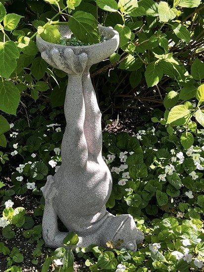 iN PHOTOS: A peek into backyard oases in Kamloops, Okanagan | iNFOnews.ca iN PHOTOS: A peek into backyard oases in Kamloops, Okanagan | iNFOnews.ca