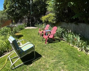Empty lawn chairs are on a manicured lawn in a backyard.