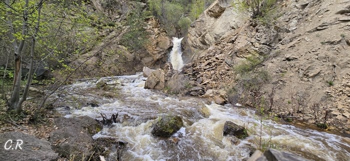 Water flowing over rocks in a forest